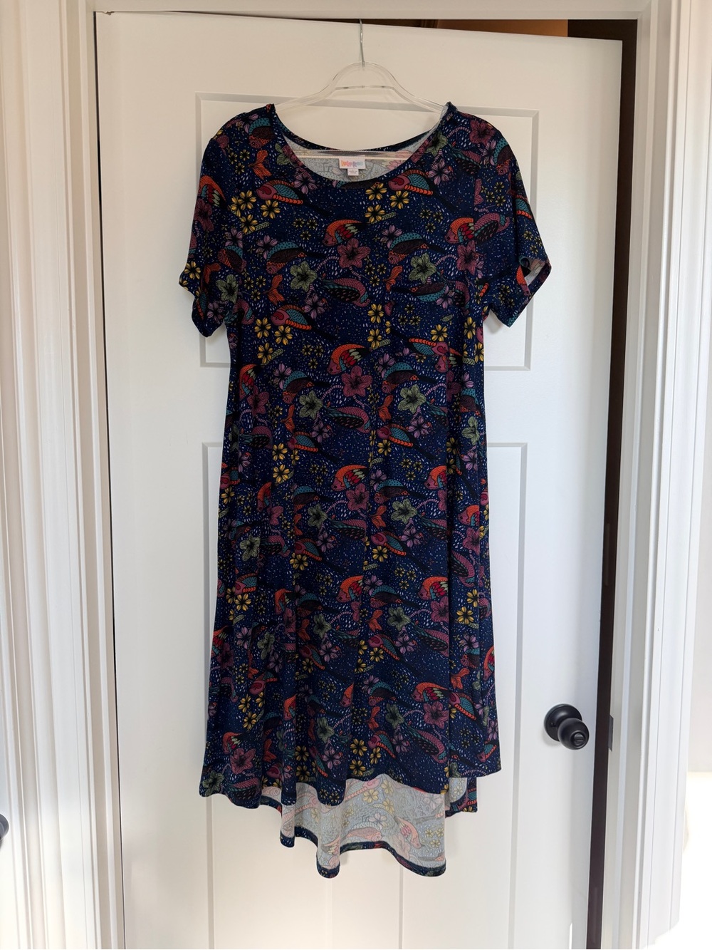LuLaRoe Navy Carly dress in Art to Wear Bird pattern